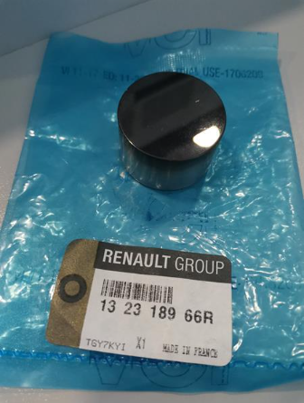 132318966R O / ORJİNAL / SUBAP FİNCANI CLİO V MEGANE IV K9K EURO 6